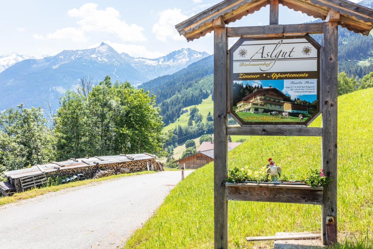 Villa Biobauernhof Aslgut à Bad Hofgastein Extérieur photo